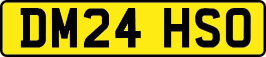 DM24HSO