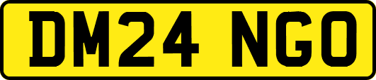 DM24NGO
