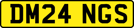 DM24NGS