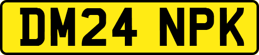 DM24NPK