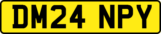 DM24NPY