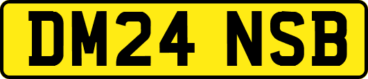 DM24NSB