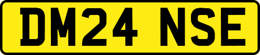 DM24NSE