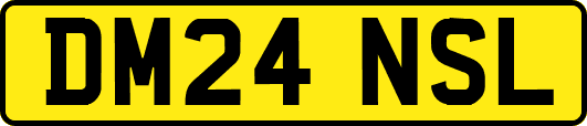 DM24NSL