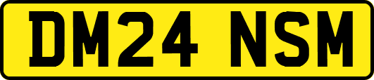 DM24NSM