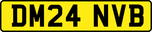 DM24NVB