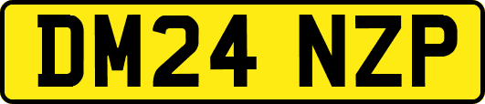 DM24NZP