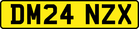 DM24NZX