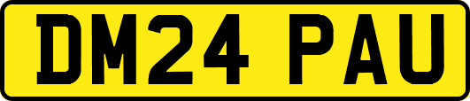 DM24PAU