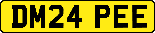 DM24PEE