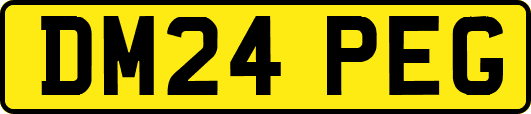 DM24PEG