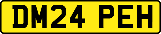 DM24PEH