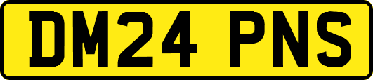 DM24PNS