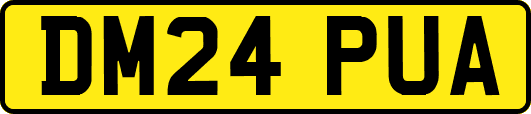 DM24PUA