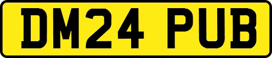 DM24PUB