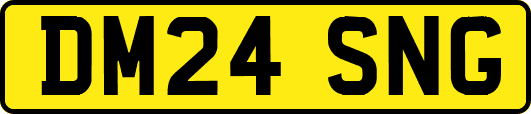 DM24SNG