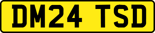 DM24TSD