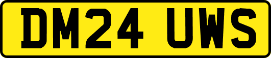 DM24UWS