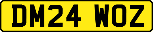 DM24WOZ