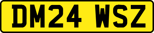 DM24WSZ