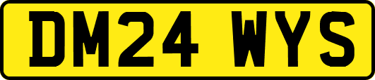 DM24WYS
