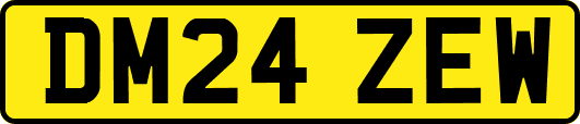 DM24ZEW