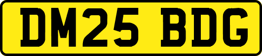 DM25BDG