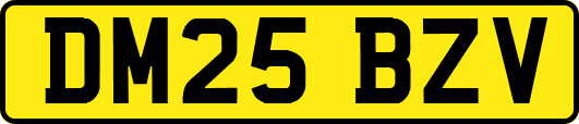 DM25BZV