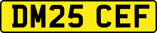 DM25CEF