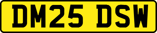 DM25DSW