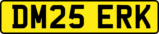 DM25ERK