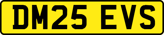 DM25EVS