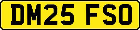 DM25FSO