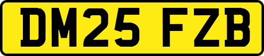 DM25FZB