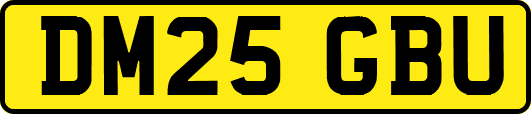 DM25GBU