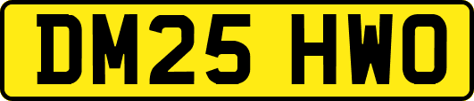DM25HWO
