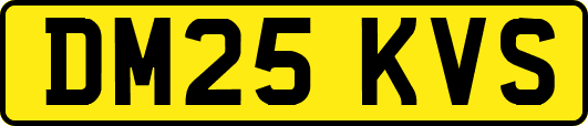 DM25KVS