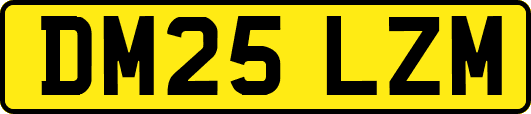 DM25LZM