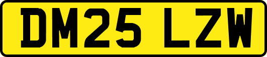 DM25LZW