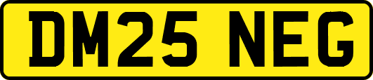 DM25NEG
