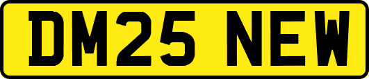 DM25NEW