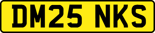 DM25NKS