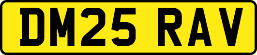 DM25RAV