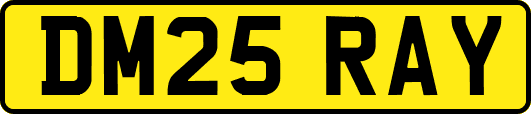 DM25RAY
