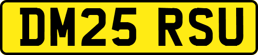 DM25RSU