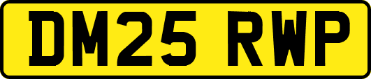 DM25RWP