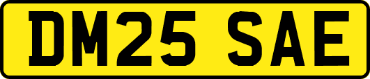 DM25SAE