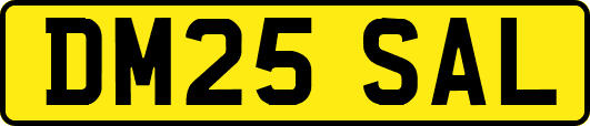 DM25SAL