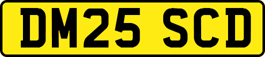 DM25SCD