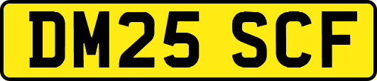 DM25SCF